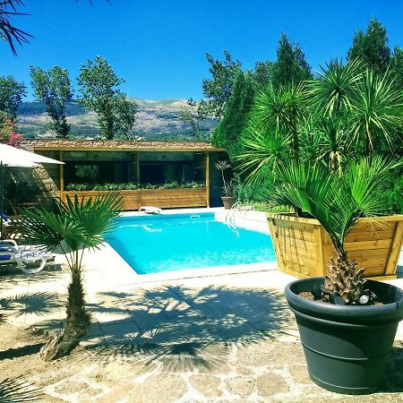 Casa Do Prado Guesthouse Vila Real Dış mekan fotoğraf