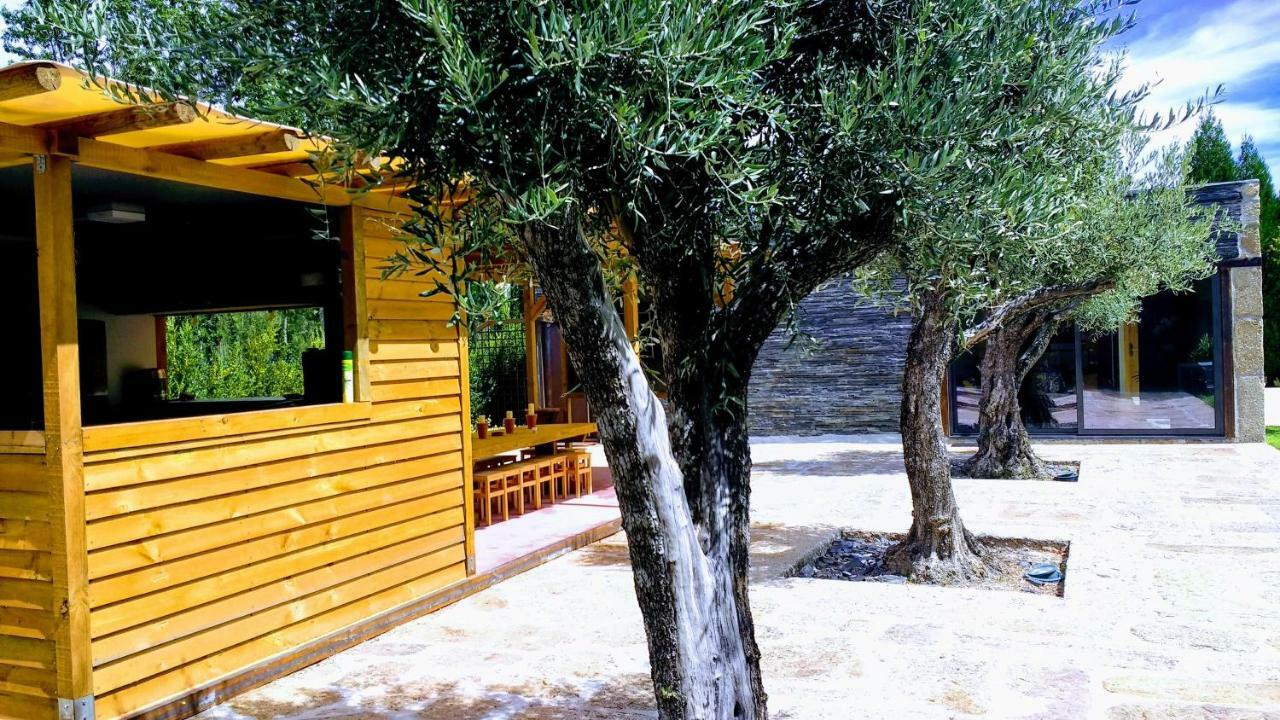 Casa Do Prado Guesthouse Vila Real Dış mekan fotoğraf